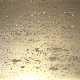 Metalier liquid metal pitted bronze